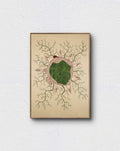 Planet Placenta Giclee kunsttryk af Agata Maria BB